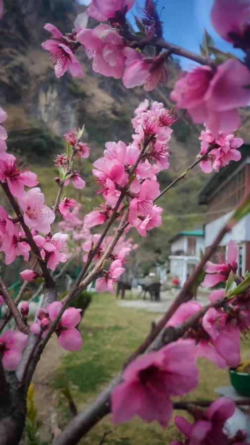 Babutaal Resort Chakrata Exterior photo